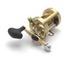 Shimano Calcutta B Baitcasting Conventional Reels -Professional Fishing Equipment Store CT700B