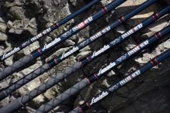 Lamiglas Insane Surf Series Spinning Rods 7 Lamiglas Insane Surf Series Spinning Rods -Professional Fishing Equipment Store DSC 1051 630x 6fc929bb 278f 4266 8707 6118079a9f36