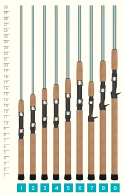 St. Croix Avid Series Inshore Spinning Rods 7 St. Croix Avid Series Inshore Spinning Rods -Professional Fishing Equipment Store HandleChart AvidSeriesInshore min 700x700 fec06bef e339 4d1e 995a e074971cfcd0