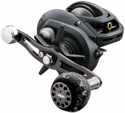 Daiwa Lexa WN Baitcasting Conventional Reels -Professional Fishing Equipment Store LexaWN 900x c0d9fc5e 2362 4bf6 9eee 75897c53d3c2