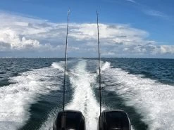 Reef & Reel Florida State Pride Performance Long Sleeve Shirt -Professional Fishing Equipment Store Rods 0e6fd911 60b2 49de 8d33 1a944cb952f6