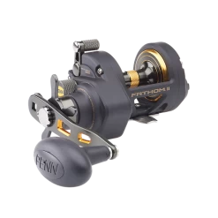 Penn Fathom II Star Drag Conventional Reels -Professional Fishing Equipment Store download 6 0b7aa7aa ba6d 4c86 bcf7 e48573fc5b47
